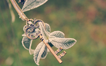 Leaves, Plant, Macro, Key HD wallpaper