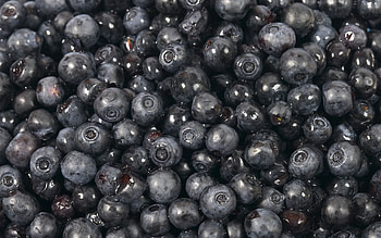 blueberries, berry, many, food HD wallpaper