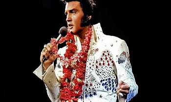 Elvis Presley, Music, Rock & Roll, The King HD wallpaper