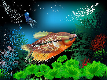 Fish, abstract, green, luminos, water, vara HD wallpaper