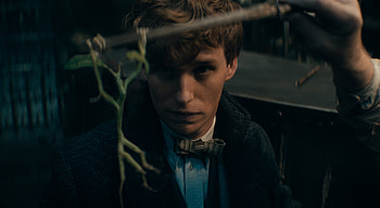 David Yates movies, Secrets of Dumbledore, Jude Law interview, Eddie Redmayne's insight HD wallpaper