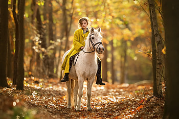 :), horse, yellow, autumn, cal, girl, forest, copil, child, white HD wallpaper