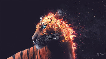 Fractal Fire Tiger, tiger, big cat, flames, fractal, wild, dramatic, fire, Firefox Persona theme HD wallpaper