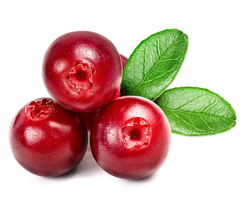 Latest food , Cranberry edition, quality, Visual feast HD wallpaper