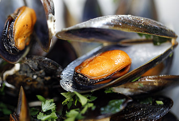 Paralytic poison, Shellfish contamination, California warning, Seafood safety HD wallpaper