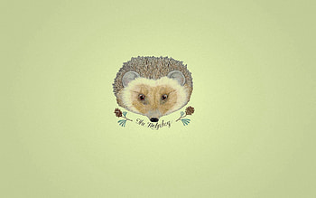 Flowers, Art, , Drawing, Hedgehog HD wallpaper