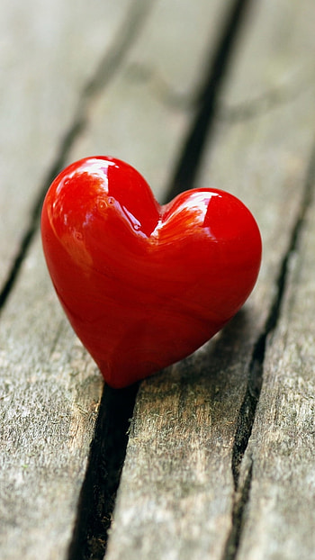 Best Love, Cute, Heart Shape HD phone wallpaper