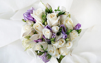 Flowers, Roses, Bouquet, Composition HD wallpaper