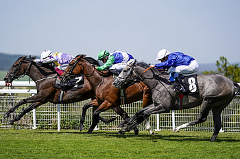 Horse racing excitement, Thrilling horse race, Equestrian adrenaline, High-speed sport HD wallpaper