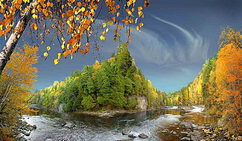 Autumn on the river, blue, colorful, beauty, background, trees, autumn, amazing, water, landscape, popular, sesons, beautiful, rocks, tree, stones, leaves, green, yellow, clouds, nature, sky, rivers HD wallpaper