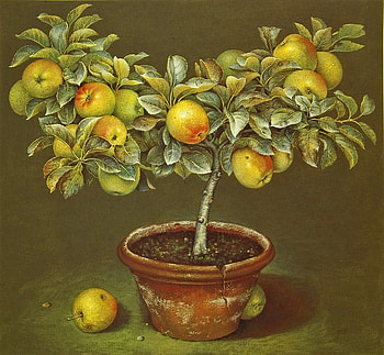 Apple tree in terracotta pot by Jose Ecofet, golden, jose ecofet, art, tree, painting, apple, leaf, terracotta, pot HD wallpaper