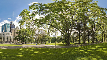 lovely city park on a sunny summer day r, sunshine, summer, city, path, trees, r, grass, park HD wallpaper