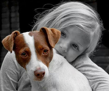 Friendship , dog, black and white, love, friendship, girl, two colors HD wallpaper