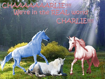 Charlie, unicorns, cool, funny, candy HD wallpaper