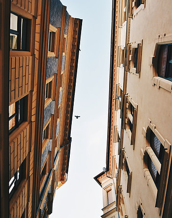 Sky, Architecture, Building, Miscellanea, Miscellaneous, Bird, Facades HD phone wallpaper