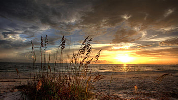 spectacular beach sunset, sea, reeds, clouds, sunset, beach HD wallpaper