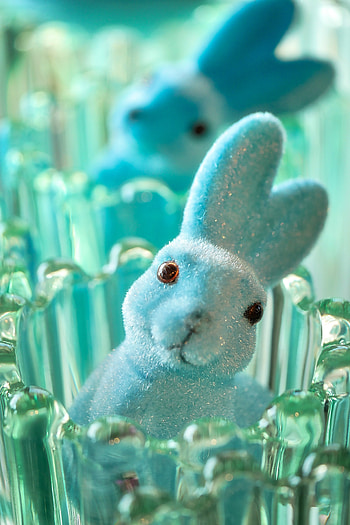 Hare, rabbit, cute, bunny, figure HD phone wallpaper