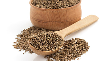 Archaeology of herbs, Cumin history, Chefs Mandala, Spice exploration HD wallpaper