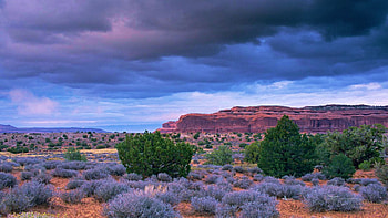 Storm clouds over a mesa in Canyonlands National Park, Utah, plants, landscape, sky, mountains, rocks, usa HD wallpaper
