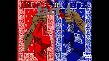 crips and bloods HD wallpaper