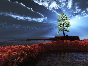 Chinese Carpet, chinese, flowers, sun, tree HD wallpaper