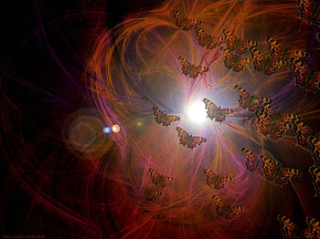 Butterfly Migration, night, butterflies, swirls, light HD wallpaper