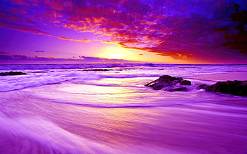 Purple Beach Sunset , sunset, sunrise, purple, beach, nature HD wallpaper