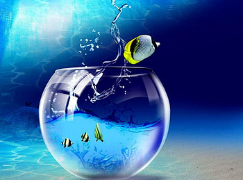 3D Full Screen Epic - Full Screen Nature 3D - - , Nature Full Screen HD wallpaper