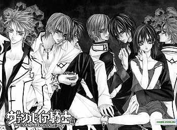 The Vampire Knight Group, sexy, hot, romance, vampires HD wallpaper