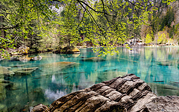 glacial lake, spring, mountain lake, emerald lake, mountain landscape, trees HD wallpaper