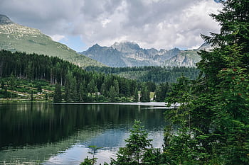 Beautiful mountain lake with dense pine forest reflecting in the clear water under a cloudy sky. HD wallpaper