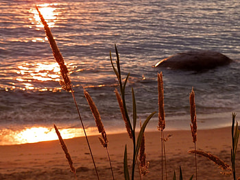 Espigas, sea, sand HD wallpaper