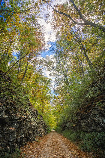 Nature, Rock, Road, Alley, Stone, Foliage HD phone wallpaper
