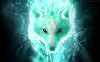 wolf pack funny | Wolf Pack - Mix | Wolven | Pinterest | Wolf, Funny wolf and Wolf HD wallpaper