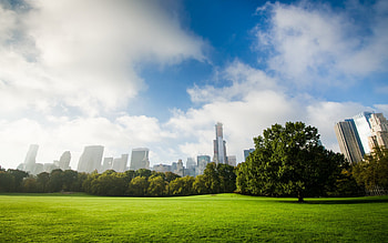 Central Park, New York , tablet HD wallpaper