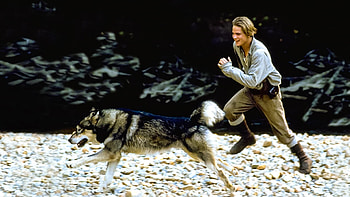 White Fang (Movie), White Fang 2, Myth of the White Wolf, 1994 HD wallpaper