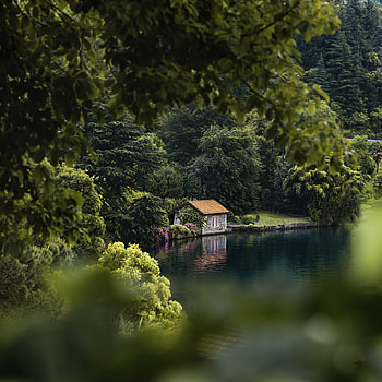 Nature, Trees, Lake, Small House, Lodge, Coziness, Comfort HD phone wallpaper