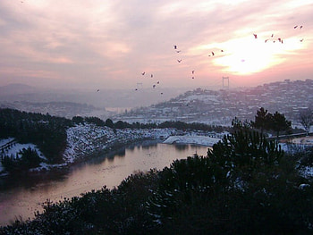 Birds, snow, sunset HD wallpaper