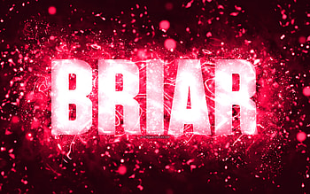 Happy Birtay Briar, , pink neon lights, Briar name, creative, Briar Happy Birtay, Briar Birtay, popular american female names, with Briar name, Briar HD wallpaper