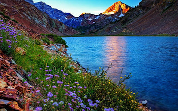 Mountain Lake, wildflowers, slope, snow, nature, lake, mountain HD wallpaper