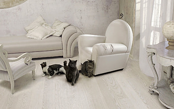 Animals, Cats, Interior, Chair, Room, Sofa, Armchair, Furniture, Three HD wallpaper