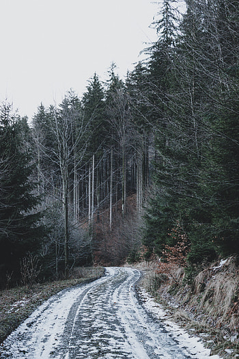Winter, Nature, Snow, Road, Forest HD phone wallpaper