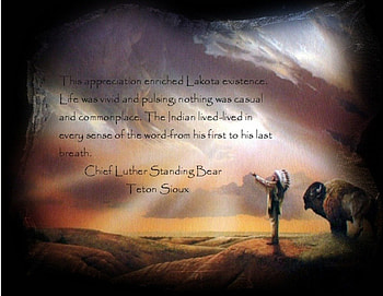 Chief Luther Standing Bear, Native American, American Indian, Buffalo HD wallpaper