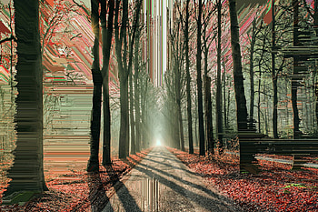 Artistic Glitch Trees Road, artistic, forest, road, trees, glitch HD wallpaper