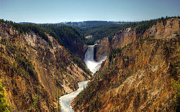 canyon fall, old trees, deep canyon, rushing water, rocky HD wallpaper