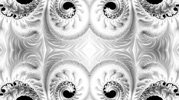 Trippy Psychedelic Fractal, trippy, psychedelic, aesthetic, white, black, Abstract, fractal, abstract black HD wallpaper
