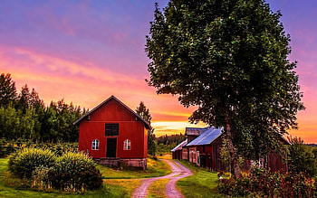 sunset on a farm r, trees, farm, road, r, sunset, countryside HD wallpaper