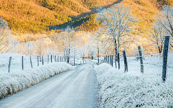 Winter, snowy, snow, landscape, nature, winter time HD wallpaper