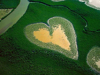 Heart by Nature, beautiful, nature, heart HD wallpaper