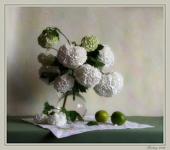 green & white 5, art , still life, glass vase, green lemons, water, white flowers, nice HD wallpaper